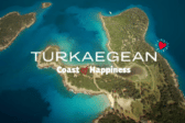«Turkaegean»: ΕΔΕ για την καταχώρηση του εμπορικού σήματος διέταξε ο Άδωνις Γεωργιάδης