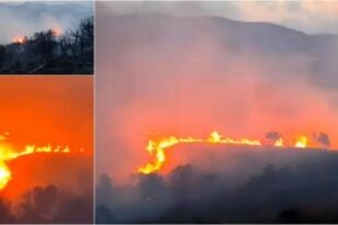 Μαίνεται η φωτιά στην Εύβοια: Νύχτα αγωνίας -Καίει σε τρία μέτωπα, ενισχύονται οι επίγειες δυνάμεις