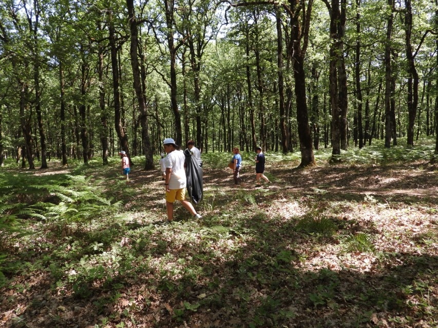 Μονάδα Διαχείρισης Εθνικού Πάρκου Υγροτόπων Κοτυχίου - Στροφυλιάς: Εορτασμός της Παγκόσμιας Ημέρας Περιβάλλοντος στη Φολόη