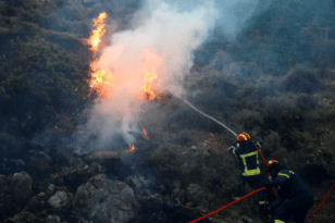 Πέλλα: Φωτιά σε δασική έκταση – Μεγάλη κινητοποίηση από την πυροσβεστική