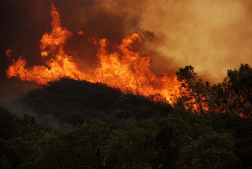 Βελτιωμένη η εικόνα στη φωτιά στη Γορτυνία στην περιοχή Κακουραίικα