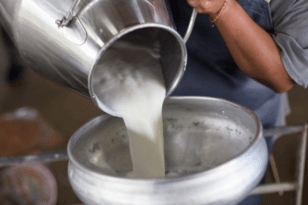 Μείωση στην παραγωγή γάλακτος - Φόβοι για ελλείψεις σε γαλακτοκομικά προϊόντα