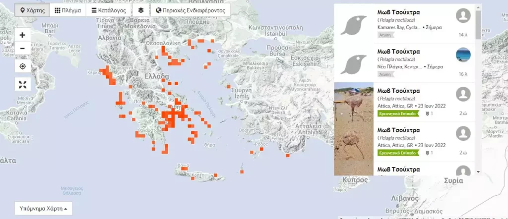 Μωβ μέδουσες: Ο χάρτης με τις «κόκκινες» περιοχές - Πού έχουν απλώσει τα πλοκάμια τους
