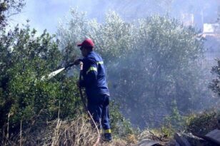 Εύβοια: Φωτιά σε περιοχή του Βασιλικού - Καίει κοντά σε σπίτια