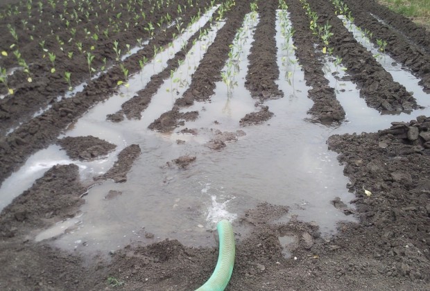 Δυτική Αχαΐα: Πώς αγρότες… κλέβουν νερό - Τι ανακάλυψαν οι κάτοικοι