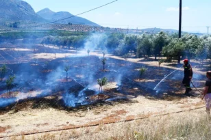 Αργολίδα: Φωτιά σε γεωργική έκταση στα Φίχτια