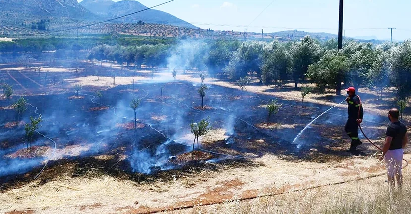 Αργολίδα: Φωτιά σε γεωργική έκταση στα Φίχτια