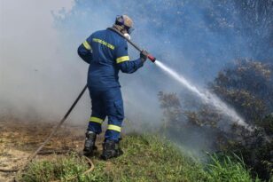 Οριοθετήθηκε η νέα φωτιά στην Ηλεία - Προβληματισμός για εστίες σε δύσβατα σημεία στην Κορυφή