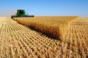 Ουκρανία: Ρεκόρ για τη συγκομιδή σιτηρών στην Κριμαία