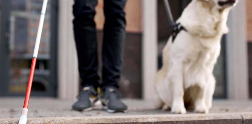 Αθήνα: Καταδικάστηκε οδηγός ταξί που αρνήθηκε να επιβιβάσει τυφλή λόγω του σκύλου της -Άσκησε βία στο ζώο