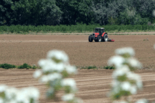 Νέοι Αγρότες: Μισό δις ευρώ από το Υπουργείο Αγροτικής Ανάπτυξης - Πόσα θα έρθουν στη Δυτική Ελλάδα