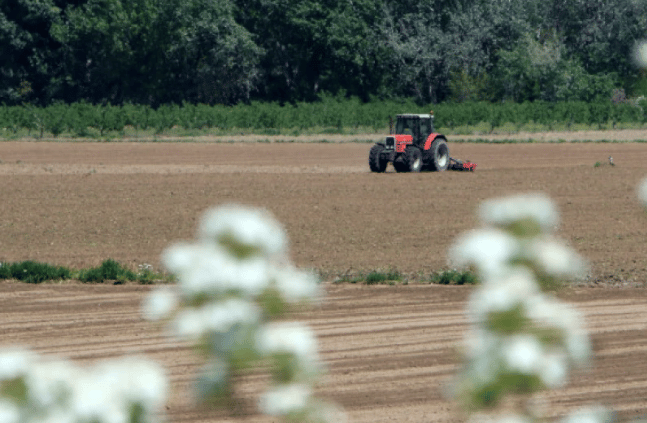 Νέοι Αγρότες: Μισό δις ευρώ από το Υπουργείο Αγροτικής Ανάπτυξης - Πόσα θα έρθουν στη Δυτική Ελλάδα