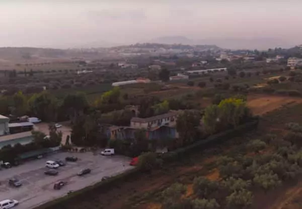 Άγριες Μέλισσες