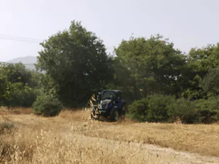 Πάτρα: Σύλλογος καθάρισε το Πλατανόδασος στο Προάστιο ΦΩΤΟ Πάτρα: Σύλλογος καθάρισε το Πλατανόδασος στο Προάστιο ΦΩΤΟ