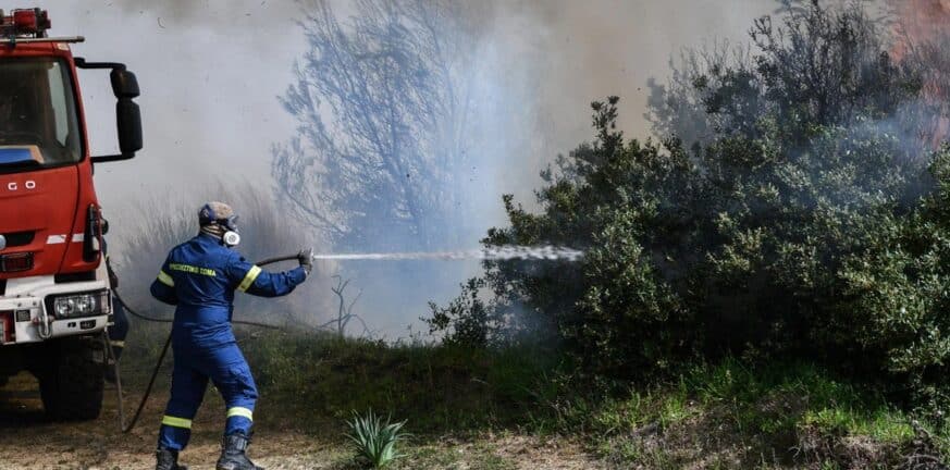 Ρέθυμνο: Ελεγχόμενα πλήρως τα πύρινα μέτωπα στον Άγιο Βασίλειο Ρέθυμνο
