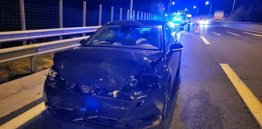 Κοζάνη - Εγνατία Οδός: Αρκούδα συγκρούστηκε με αυτοκίνητο ΦΩΤΟ - ΒΙΝΤΕΟ Κοζάνη