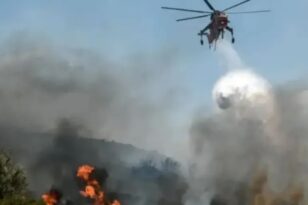 Τριπλό πύρινο μέτωπο στην Ηλεία: Σε ύφεση οι φωτιές σε Πύργο και Σπιάντζα - ΝΕΟΤΕΡΑ ΦΩΤΟ