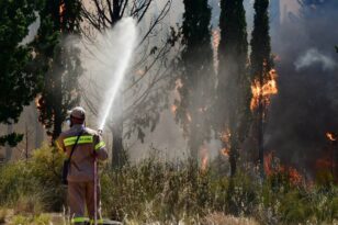 Κάρυστος: Υπό μερικό έλεγχο η φωτιά - Πυροσβέστης τραυματίστηκε