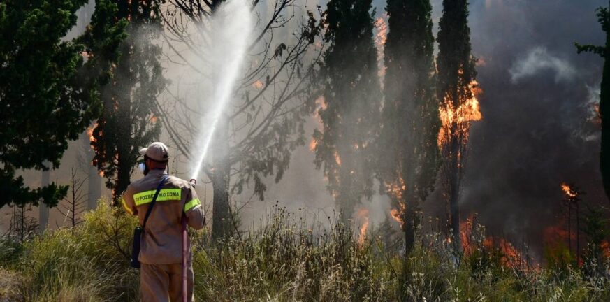 Φωτιά στην Κεφαλονιά: Απογειώθηκαν και δύο πετζετέλ
