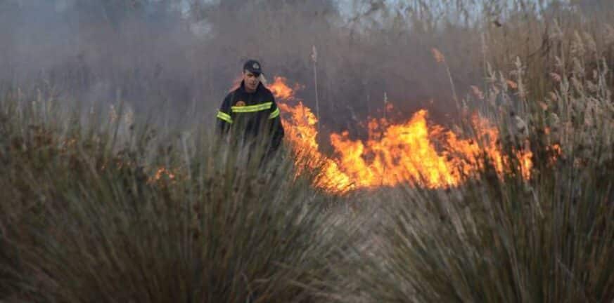 Κρήτη: Συνελήφθη άνδρας για εμπρησμό για τη φωτιά στο Βραχάσι