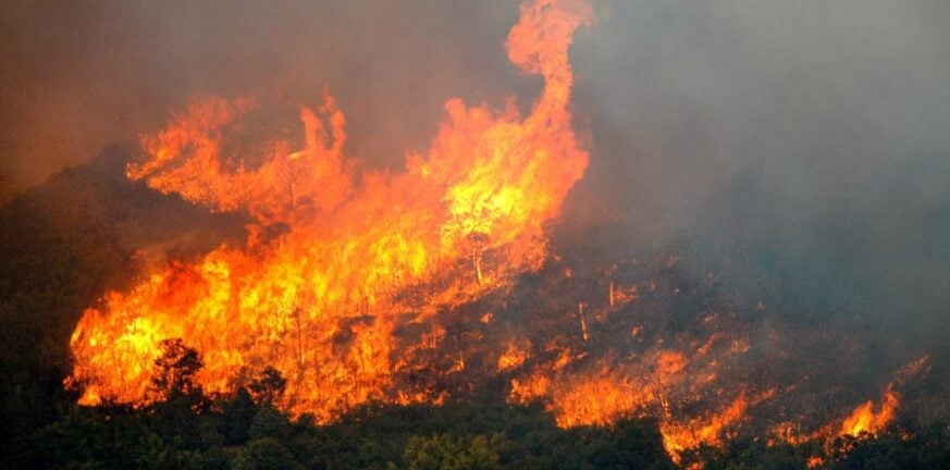 Φωτιά στη Βοιωτία: Σε προληπτική εκκένωση το Δήλεσι - Τέσσερα καναντέρ επιχειρούν στο πύρινο μέτωπο