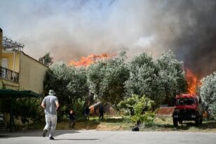 Πολύ υψηλός κίνδυνος πυρκαγιάς την Παρασκευή 29 Ιουλίου σε Αχαΐα, Ηλεία και υψηλός στην Αιτωλοακαρνανίας