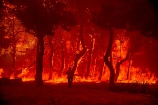 Βουλευτής ΚΚΕ για τη φωτιά στη Λέσβο: «Στα Βατερά γίνονται αποκαΐδια τα επιχειρήματα της κυβέρνησης»