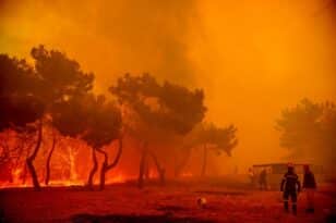 Φωτιά στη Λέσβο: Εκκενώνεται η Βρίσα – Μαίνεται η μεγάλη πυρκαγιά μετά από αναζωπύρωση