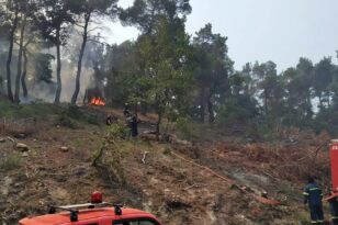 Ολονύχτια μάχη με τις φλόγες στο δάσος της Δαδιάς - Μαίνεται το πύρινο μέτωπο στον Έβρο