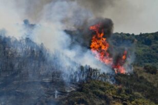 Δαδιά: Τι δείχνουν δορυφορικοί χάρτες για την περιβαλλοντική ζημιά που προκλήθηκε από τη φωτιά - ΦΩΤΟ