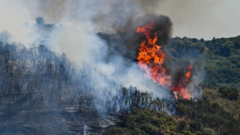ΣΥΡΙΖΑ: «Απερίγραπτη η περιβαλλοντική καταστροφή στη Δαδιά, καίγεται για 7η μέρα»