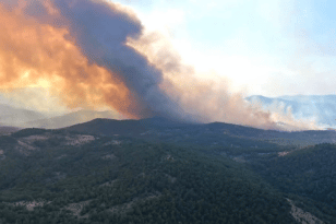Έβρος: Πώς η φωτιά επηρεάζει την άγρια πανίδα του Εθνικού Πάρκου Δαδιάς