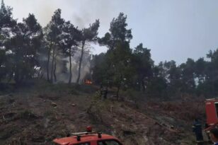 Φωτιά στον Έβρο: Μάχη μόνο από αέρος για να σωθεί το Εθνικό Πάρκο της Δαδιάς