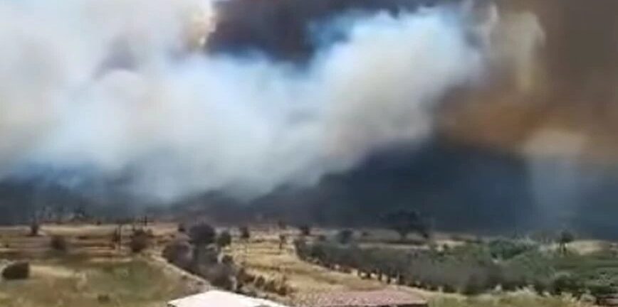 Φωτιά στη Φέριζα Σαρωνικού: Εκκενώθηκαν δύο οικισμοί - Περιορίστηκε το μέτωπο - ΦΩΤΟ - ΒΙΝΤΕΟ ΝΕΟΤΕΡΑ