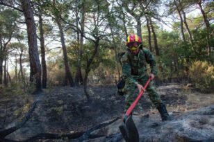 Φωτιά στη Δαδιά: Κανένα ενεργό μέτωπο – Σε συναγερμό η πυροσβεστική