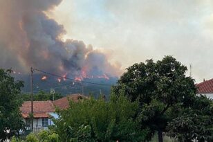 Πυρκαγιές: Συνεχίζεται η προσπάθεια κατάσβεσης στον Έβρο - Ενισχύσεις από Βουλγαρία, Τσεχία, Αλβανία, Ρουμανία