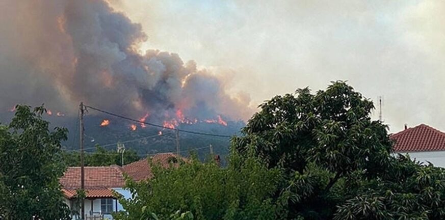 Πυρκαγιές: Συνεχίζεται η προσπάθεια κατάσβεσης στον Έβρο - Ενισχύσεις από Βουλγαρία, Τσεχία, Αλβανία, Ρουμανία