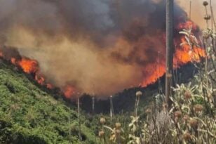 Φωτιές - Ηλεία: Καλύτερη η εικόνα στα Άγναντα, σε Τραγανό και Βάρδα - Προσήχθη ύποπτος για εμπρησμό