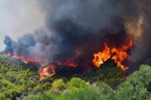 Φωτιά στην Ηλεία: Με εναέρια μέσα η Πυροσβεστική - Καίγεται δασική έκταση