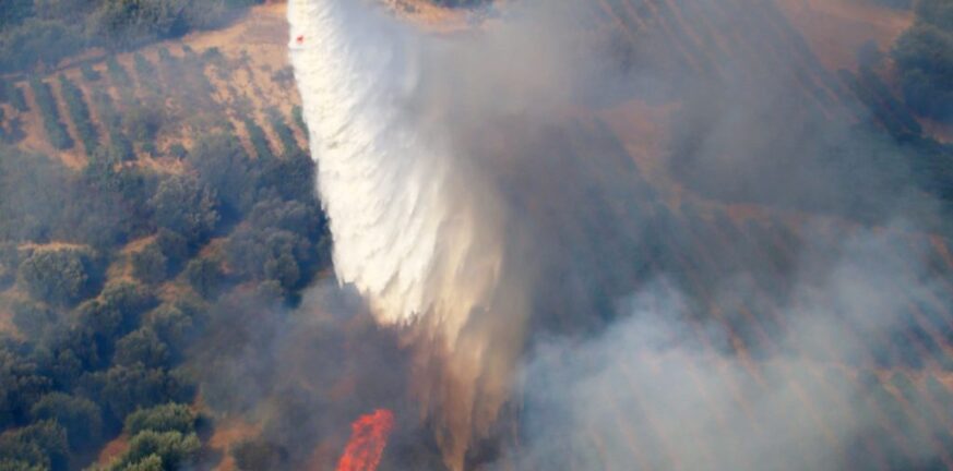 «Πόλεμος» χασισοκαλλιεργητών πίσω από τις μεγάλες φωτιές στην Ηλεία;