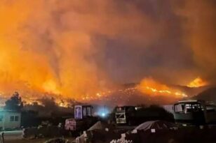 Μαίνεται η φωτιά στη Φωκίδα - Νύχτα θρίλερ για κατοικημένες περιοχές ΒΙΝΤΕΟ - ΦΩΤΟ