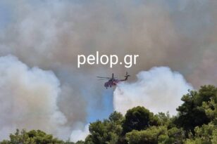 Φωτιά στην Αχαΐα: Καλύτερη η εικόνα της πυρκαγιάς - Επιχειρούν τέσσερα εναέρια μέσα - Καπνοί ακόμα και στο κέντρο της Πάτρας
