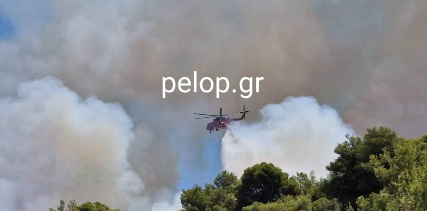 Πάτρα: Ο Κώστας Πελετίδης στο μέτωπο της Πυρκαγιάς στην Καλλιθέα -ΦΩΤΟ