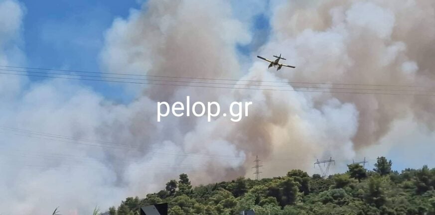 Πάτρα: Βελτιωμένη η εικόνα της φωτιάς στο δήμο Ερυμάνθου - Ολονύχτια μάχη με τις φλόγες - ΦΩΤΟ - ΝΕΟΤΕΡΑ