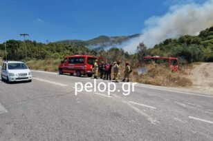 Φωτιά στην Αχαΐα: Οριοθετήθηκε η πυρκαγιά στην Πλατανόβρυση - Σε επιφυλακή για το πευκοδάσος και τις χαράδρες