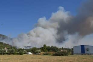 Πάτρα: Πως και γιατί εκδηλώθηκε η φωτιά στην Καλλιθέα που οδήγησε σε εκκένωση οικισμών - ΦΩΤΟ