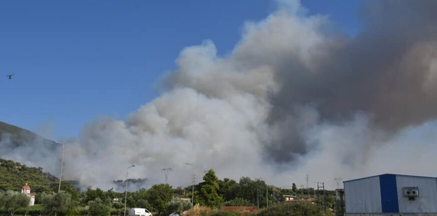 Πάτρα: Πως και γιατί εκδηλώθηκε η φωτιά στην Καλλιθέα που οδήγησε σε εκκένωση οικισμών - ΦΩΤΟ