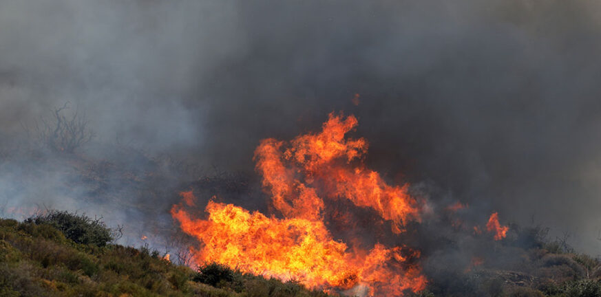 Κόνιτσα Ιωαννίνων: Καίγεται δάσος