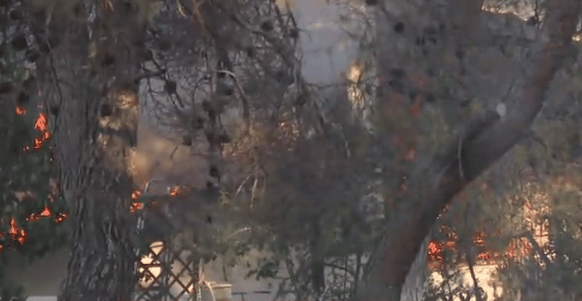 Πυρκαγιά στα Μέγαρα: Ενισχύονται οι πυροσβεστικές δυνάμεις - Νέα φωτιά στην Αγία Αννα ΦΩΤΟ - ΒΙΝΤΕΟ