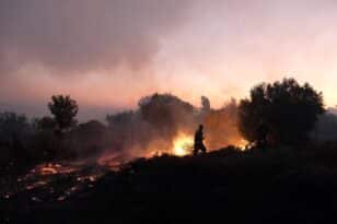 Φωτιές: Κανένα ενεργό μέτωπο σε Μέγαρα και Σαλαμίνα - Ξέσπασαν δύο πυρκαγιές σχεδόν ταυτόχρονα, αναφέρει η Πυροσβεστική